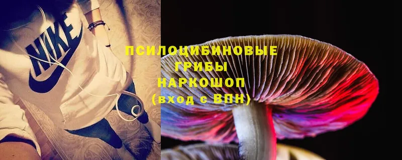 Галлюциногенные грибы MAGIC MUSHROOMS  Калининск 